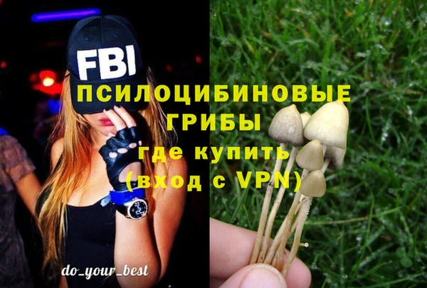 прущие грибы Снежинск