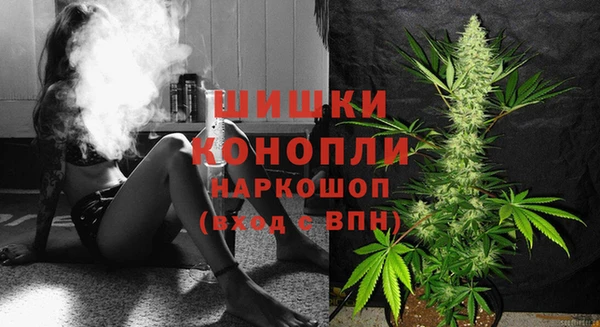 стафф Семикаракорск
