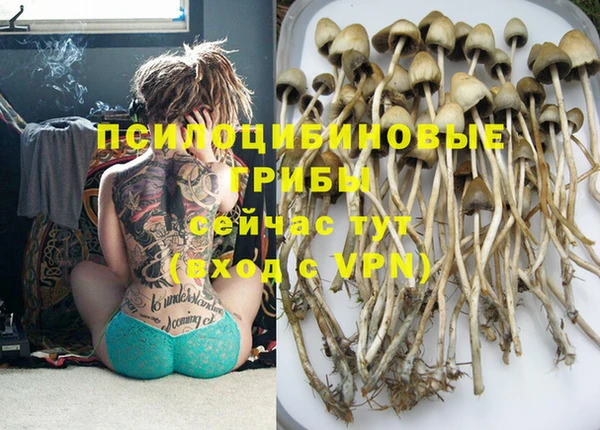 трава Балахна