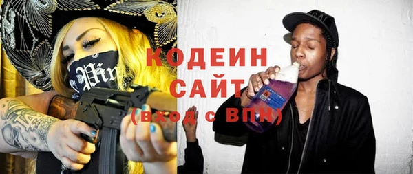 шишки Слюдянка
