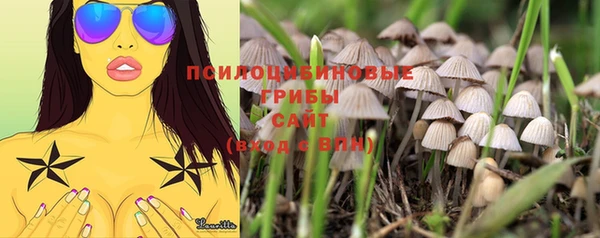 дмт Балабаново
